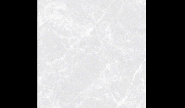 14.SPIDER BIANCO
